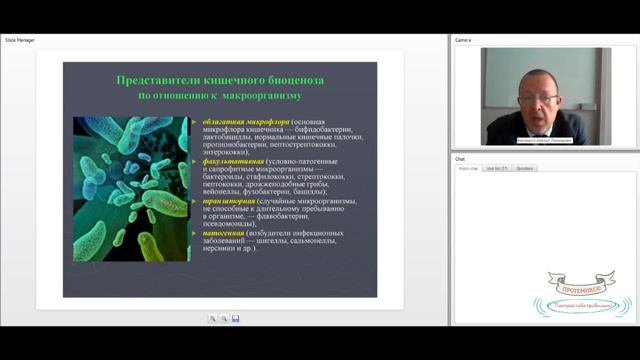 Метаболический синдром. Рациональное питание и состояние микрофлоры кишечника смотреть онлайн