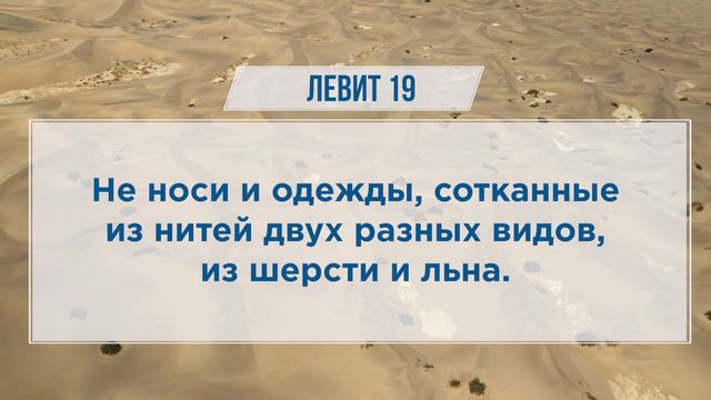 ЛЕВИТ глава 19 | Чтение Библии | Библия в современном переводе смотреть онлайн
