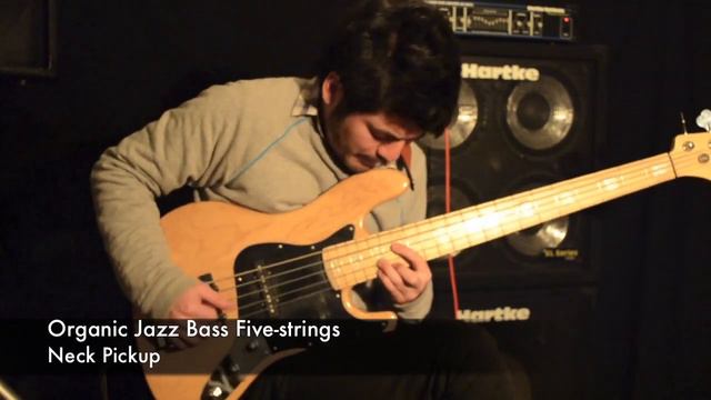 Organic Jazz Bass 5 strings Pickups смотреть онлайн