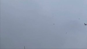 Почему голубки не несут яйца. Несколько факторов влияющих на яйцекладку голубок