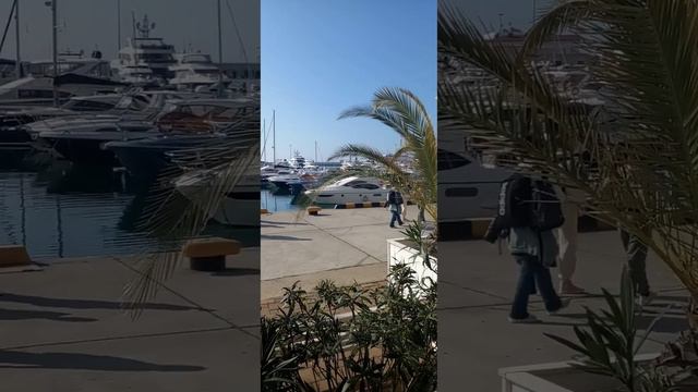 Морпорт Сочи смотреть онлайн