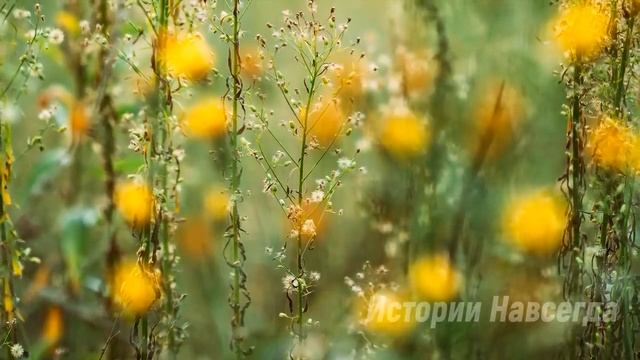 Собирай свои шмотки и уходи, видеть тебя не хочу. Но услышав ответ мужа… смотреть онлайн