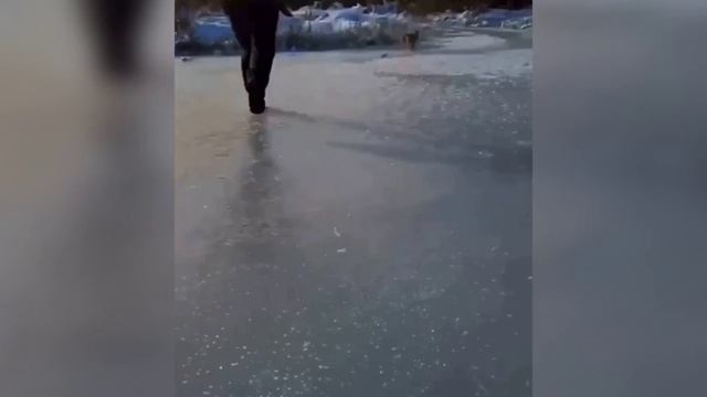 ворюга мохнатый смотреть онлайн