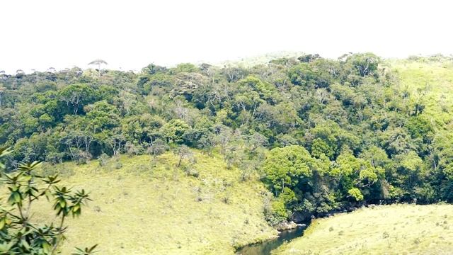 Sri Lanka Tour in Nuwara Eliya, Horton Plains and Waterfalls смотреть онлайн