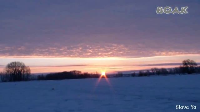 ВОЛК смотреть онлайн
