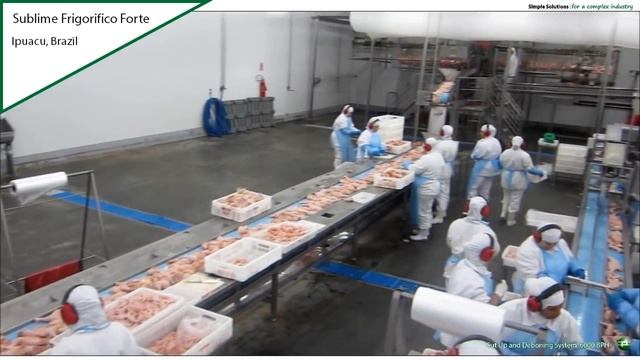 Get the Job Done Right with Professional Slaughter Line смотреть онлайн
