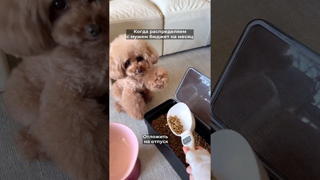 Планируй с Hiper: https://bit.ly/45d4tEO #электротранспорт #ноутбук #умныйдом смотреть онлайн