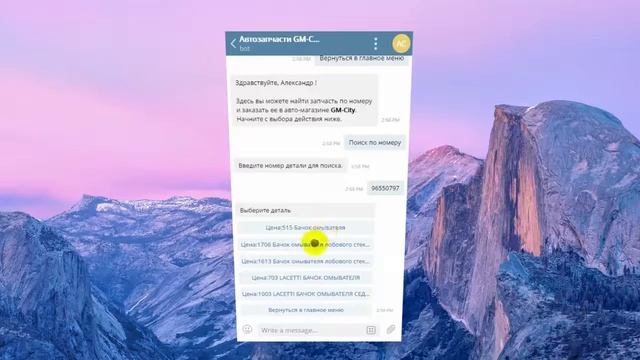 Telegram Bot - поиск и заказ автозапчастей смотреть онлайн