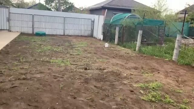 Моя красавица, она мне уже нравится! #vlog #югроссии смотреть онлайн