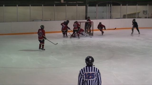 #91 Goal 20090223 Don Mills 1997 Minor Peewee Select 2008-09 Season смотреть онлайн