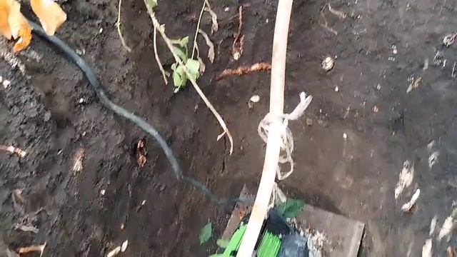 Добыча воды N_3. Раскачка Абиссинской скважины. смотреть онлайн