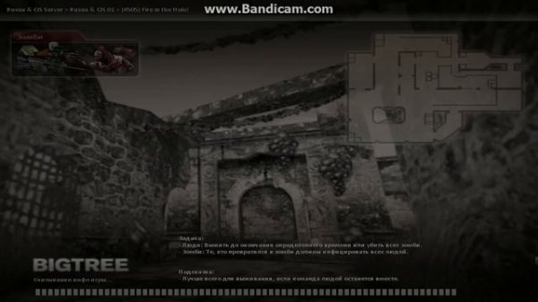 играю в стиме