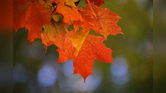 СТИХИ о жизни. Александр Жданов "Господи, что это было?" СТИХиЯ. смотреть онлайн