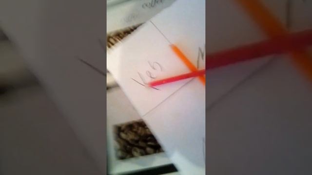 Вызываю Чарли Чарли Один дома смотреть онлайн