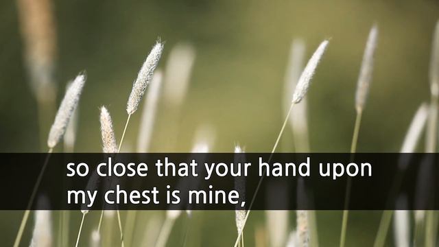 [Poem and Music] "One Hundred Love Sonnets xvii" Pablo Neruda poems [Poetry about Love] смотреть онлайн