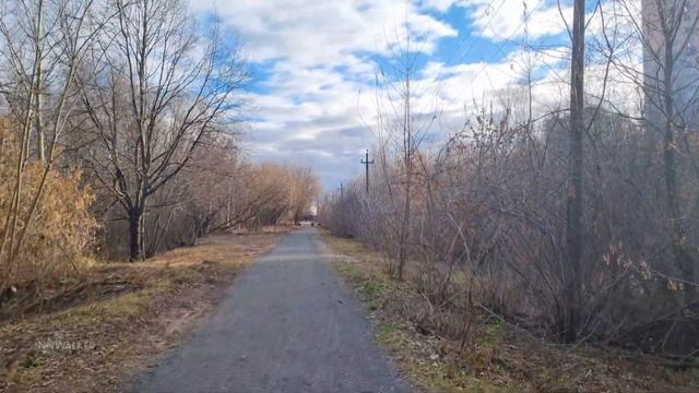 A walk on a frosty day along the Burnakov ecological trail//Nizhny Novgorod Russia//4K HDR смотреть онлайн