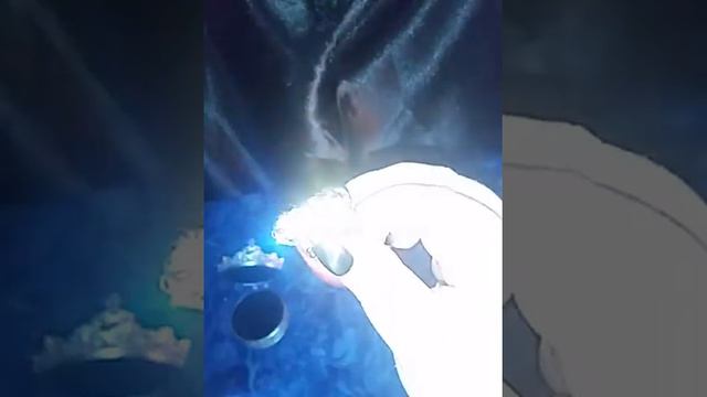 Амулет золотое кольцо смотреть онлайн