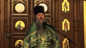 «Слово о преподобном Максиме Греке». Проповедь протоиерея Артемия Владимирова. 030222.