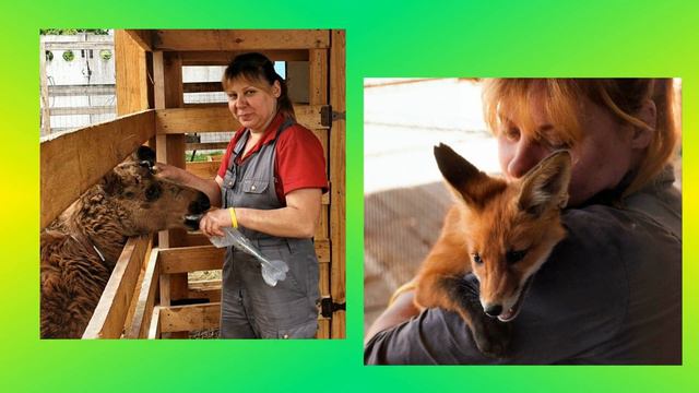 С Днём Рождения! смотреть онлайн