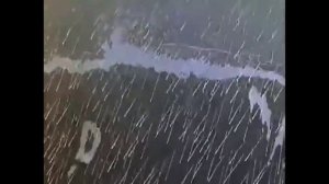 песня слонёнка Плыву по морю в зелёной земле