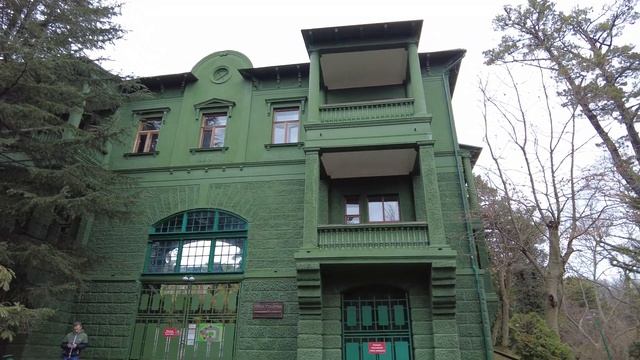 НАШ ОТДЫХ В СОЧИ. ДАЧА СТАЛИНА И ДЕНДРАРИЙ.