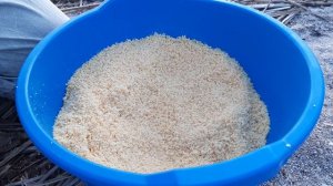 Простейшая прикормка для любительского фидера. Фидерная прикормка своими руками из гороха. Рецепт №