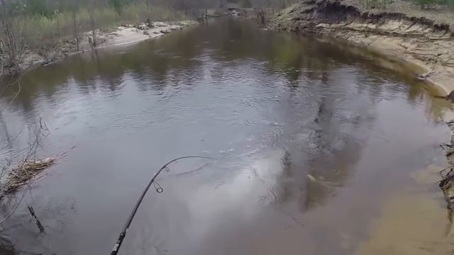 Nautilus Black Getter BGS 702 UL - Ловля голавля на кренк. Малая река.