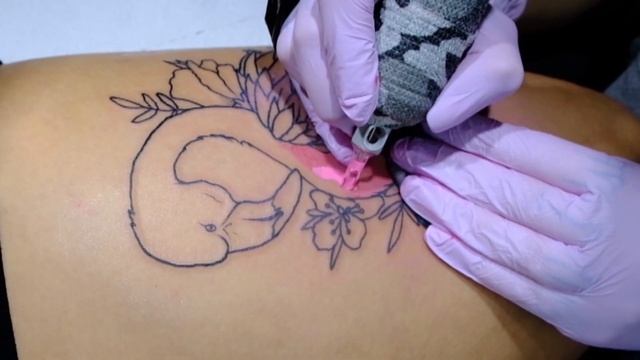 Flamingo Tattoo Time Lapse смотреть онлайн
