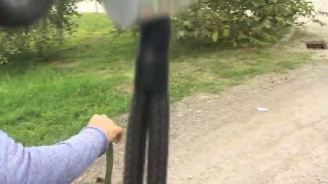 Бурная реакция на собак:один из способов как отучить реагировать на собак(Алабай Ермак) смотреть онлайн