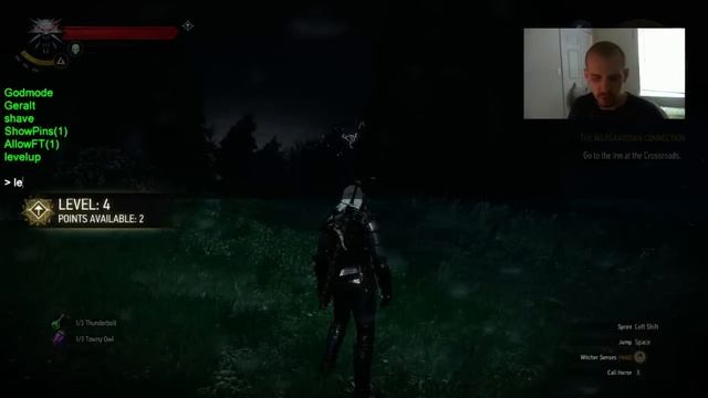 Witcher 3 Mod - Debug Console Enabler Mod Tutorial смотреть онлайн