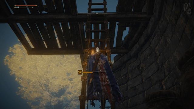 Frenzy-Flaming Tower - Elden Ring смотреть онлайн