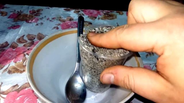 Размножение лимона смотреть онлайн