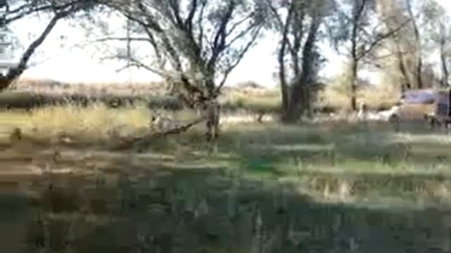 русский отдых на природе...Волгоград смотреть онлайн