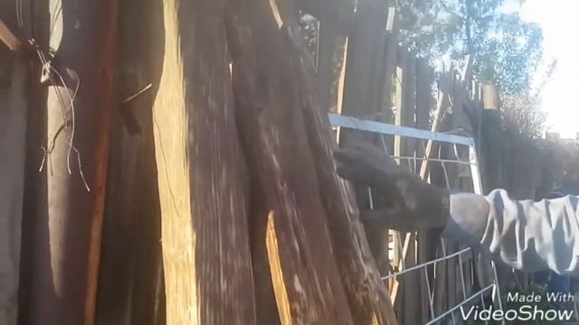 Изготовление двухъярусной кровати. Часть 2 Браширование древесины и шливовка мокрая. смотреть онлайн