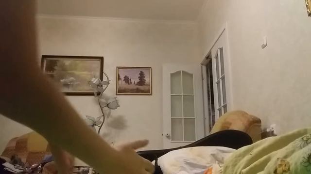 Как брать на руки ежа смотреть онлайн
