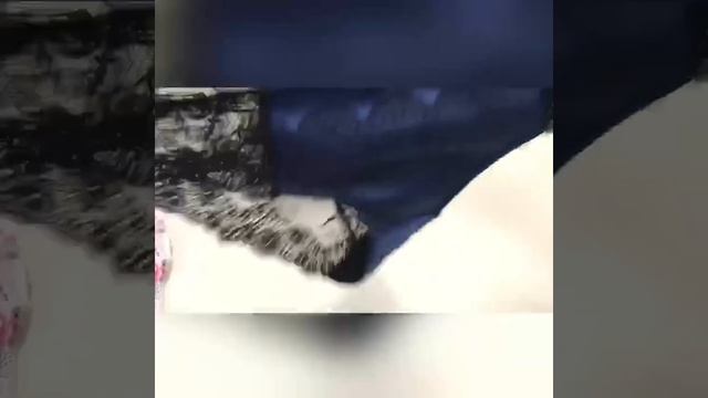 #Флоранж FLORANGE смотреть онлайн