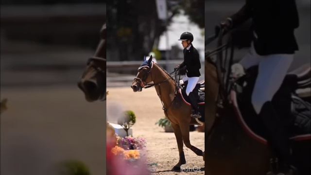 Лошади самые спортивные животные; Голоса и звуки животных; Животные вокруг нас; Животные в природе; смотреть онлайн