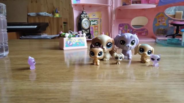 LPS Skupinové foto📷 смотреть онлайн