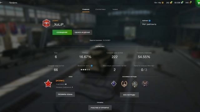 КАК В ИГРЕ World Of Tanks Blitz ИГРАТЬ С ДРУГОМ