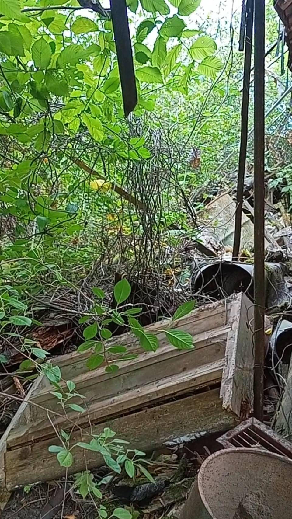 Дача -это вам не шутки