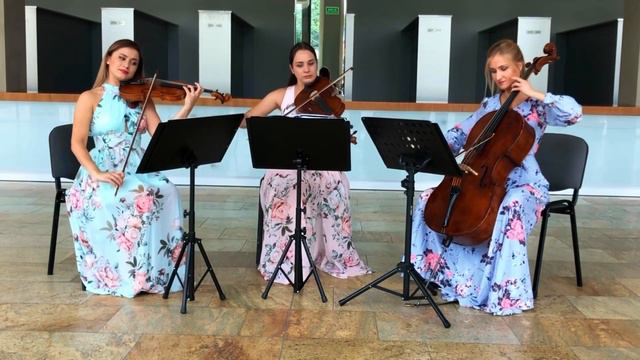 L. Cohen - Hallelujah, 4te Quartet смотреть онлайн