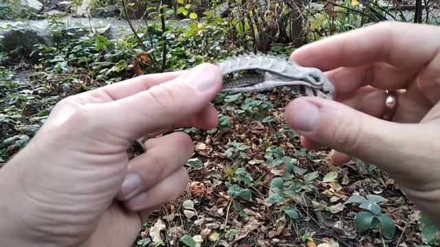 Сравнение подделок и оригинала фигурок Чужого и Хищника NECA смотреть онлайн