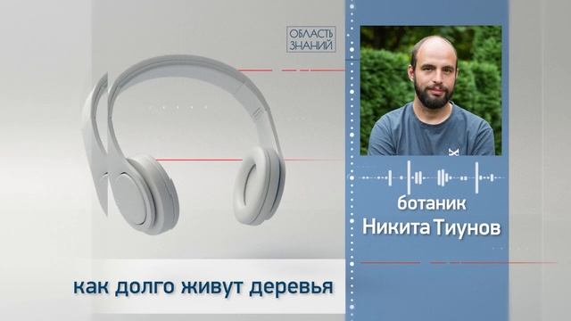 Как долго живут деревья? Лекции биолога Никиты Тиунова смотреть онлайн