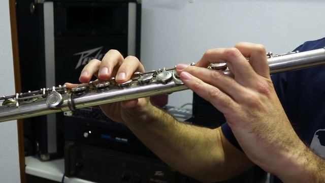 CINEMA PARADISO - ACCORDION & FLUTE FILM SONGS смотреть онлайн