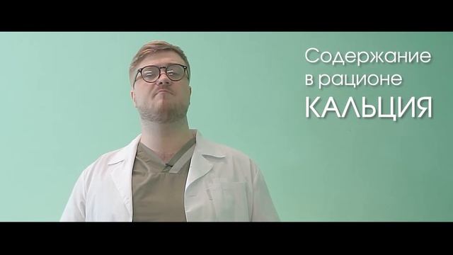 Что делать при родах питомца. Как помочь кошке или собаке и нужно ли вообще что то делать? смотреть онлайн