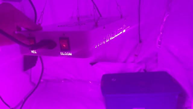 King LED Light Review смотреть онлайн