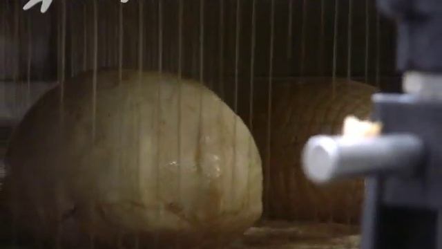 26 Инфракрасный пастеризатор копченая индейка Infrared Pasteurizer Smoked Turkey смотреть онлайн