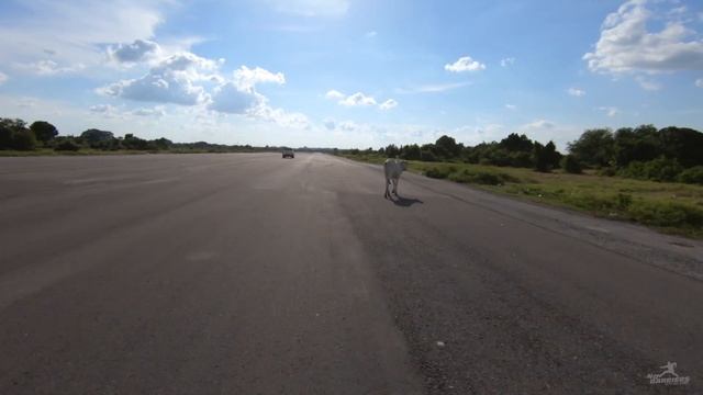 Cambodia: Abandoned Battambang Airport смотреть онлайн