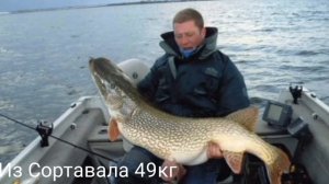 Самые  большие Щуки пойманные в Мире.