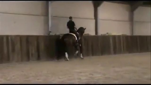 6 лет, выездка (ZZ) смотреть онлайн